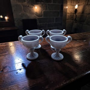 TTRPG tafelblad middeleeuwse fancy beker miniatuur rollenspel Pathfinder