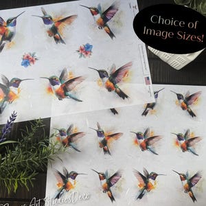 May include: A sheet of digital paper with watercolor hummingbird illustrations. The hummingbirds are in various poses and have vibrant colors, including purple, blue, green, and orange. The text "Choice of Image Sizes!" is at the top of the sheet.