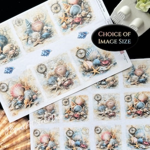 May include: Sheets of decorative paper featuring seashell and nautical designs. Each sheet displays multiple square images of seashells, starfish, and compasses. The color palette includes beige, blue, and coral tones, with a distressed, vintage aesthetic. The text "CHOICE OF IMAGE SIZE" is visible.