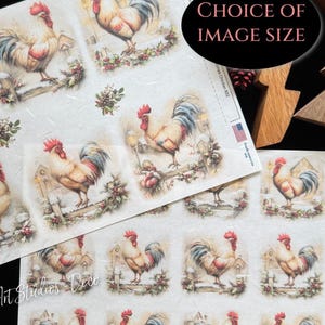May include: Sheets of decorative paper featuring rooster illustrations. Each rooster is depicted with red combs, tan feathers, and blue and white tail feathers. The text "CHOICE OF IMAGE SIZE" is visible. The paper has a vintage, rustic aesthetic.