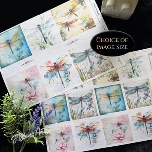 May include: Sheets of paper with dragonfly illustrations in various colors, including blue, orange, and pink. The dragonfly designs are set against a vintage-style background with floral and botanical elements. Text on the image reads "CHOICE OF IMAGE SIZE."