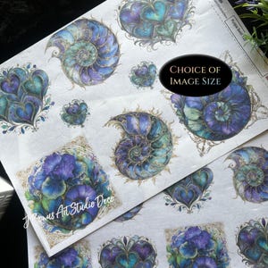 May include: A sheet of decorative paper featuring watercolor illustrations of nautilus shells and heart shapes in shades of blue, teal, and purple. The paper has a textured, off-white background with gold accents. The text "Choice of Image Size" is visible.