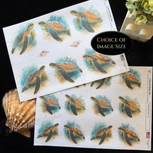 Decoupage Rice Paper (A4) Small DIY Craft Project, Sea Turtle, 243