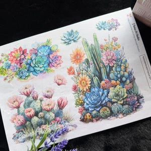 May include: A sheet of stickers featuring watercolor illustrations of succulents and cacti. The designs include various colorful succulents in shades of blue, pink, orange, and green, with cactus plants and flowers. The text "3 Bonus Art Studios" is visible.