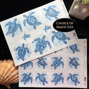 May include: Two white sheets of paper featuring multiple blue sea turtle illustrations with intricate shell patterns. The top sheet includes a black oval graphic with the white text CHOICE OF IMAGE SIZE and a small American flag icon in the corner.