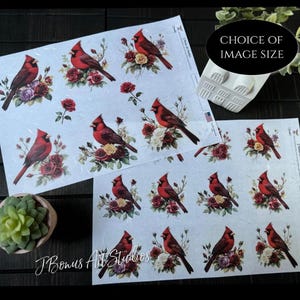 May include: Sheets of decorative stickers featuring red cardinal birds perched among floral arrangements of roses and other flowers. The text "Choice of Image Size" is visible. The brand name "JBonus Art Studios" is also visible.