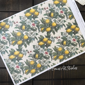 Lemon Decoupage Paper, Vintage A4 Rice Paper for Small Craft Project, Farmhouse Decor Ephemera Junk Journal Printed Collage Sheet, 704