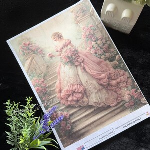 May include: A print featuring a woman in a pink and white gown descending a staircase, surrounded by pink roses. The print has a vintage aesthetic, with the text "Studio Deco" visible. Display Sample 123.