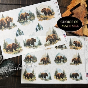 May include: Sheets of paper with watercolor illustrations of brown bears in a forest setting. The text "Choice of Image Size" is visible. The paper has a vintage aesthetic, with the artist's name at the bottom.