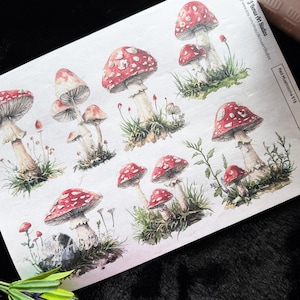 May include: A sheet of stickers featuring watercolor illustrations of red and white spotted mushrooms. The mushrooms vary in size and are depicted with detailed stems and caps, some with grass and foliage.