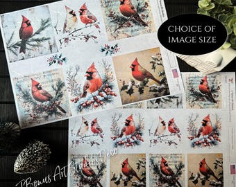Cardinal Decoupage Paper, A4 Rice Paper, Small Craft Project, Ephemera Junk Journal Collage, J Bonus Art Studios Deco, Vintage Victorian 548