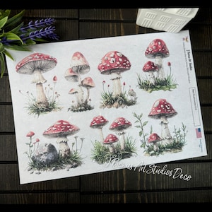 May include: A sheet of paper with illustrations of red and white mushrooms with green foliage. The paper has the text "Bonus Art Studios Deco" at the bottom and "Red Mushrooms 015" in the top right corner.