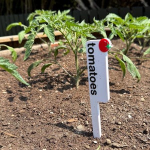Garden Vegetable and Plant Markers Stakes