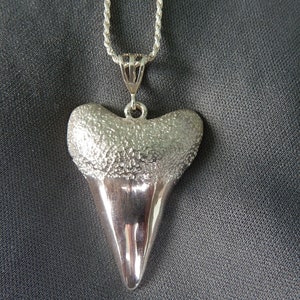 Shark Tooth Pendant