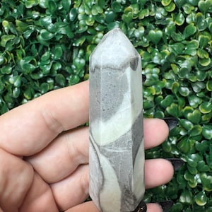 May include: A polished crystal obelisk with a light gray, white, and dark gray banded pattern. The crystal has a pointed top and a rectangular base. The obelisk is held against a backdrop of green foliage.