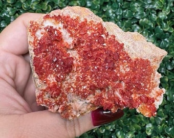 Raw Vanadinite Specimen (12.1 oz) | Root Chakra Crystal Gift