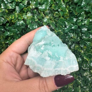 May include: A piece of raw, light blue aragonite crystal with a layered, textured appearance. The crystal is held against a backdrop of green foliage.