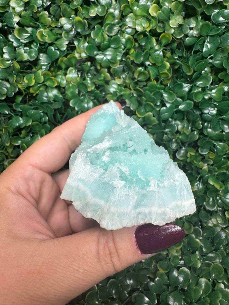 May include: A piece of raw, light blue aragonite crystal with a layered, textured appearance. The crystal is held against a backdrop of green foliage.
