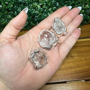 Puede incluir: Tres peque&ntilde;as geodas de amatista en tonos p&uacute;rpura, gris y melocot&oacute;n se sostienen en una mano. Las geodas tienen un interior cristalino y un exterior rugoso y texturizado. El fondo presenta una planta verde y frondosa.