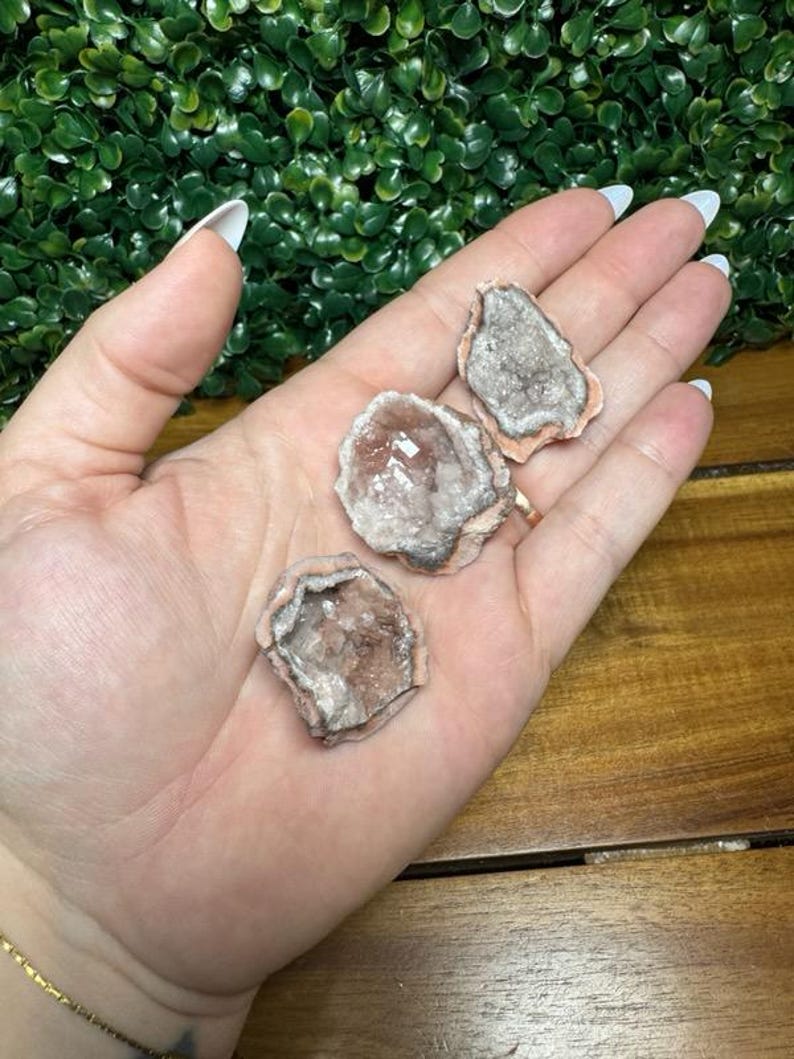 Puede incluir: Tres peque&ntilde;as geodas de amatista en tonos p&uacute;rpura, gris y melocot&oacute;n se sostienen en una mano. Las geodas tienen un interior cristalino y un exterior rugoso y texturizado. El fondo presenta una planta verde y frondosa.