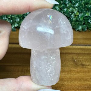 Natural Rose Quartz Mushroom Carving | Rose Quartz Carving | Crystal Mushroom | Crystal Carving | Gemstone | Metaphysical Gift