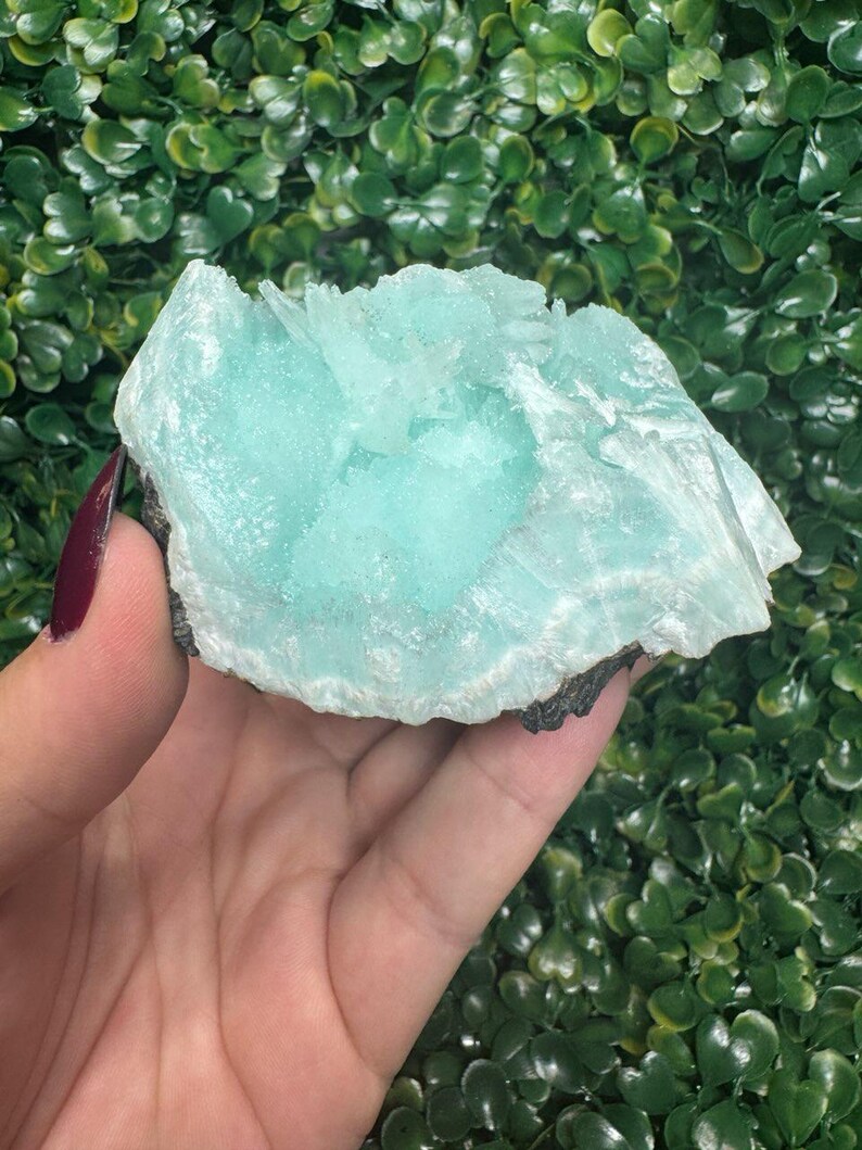 May include: A light blue aragonite crystal cluster with a rough, textured surface. The crystal has a layered appearance and sits on a dark base. The background is a dense arrangement of green leaves.