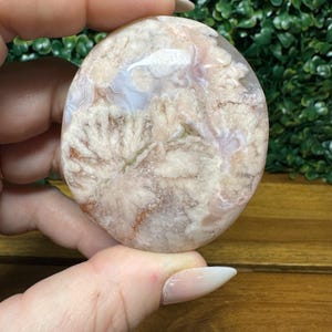 Flower Agate Palm Stone | Natural Flower Agate Palm | Polished Flower Agate Palm Stone | Gemstone | Healing Crystal | Metaphysical Gift