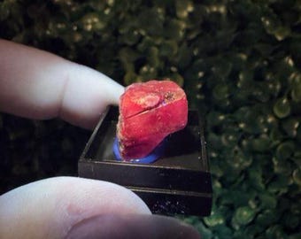 Rare Red UV Reactive Fluorite Specimen | Ojuela Mine Crystal