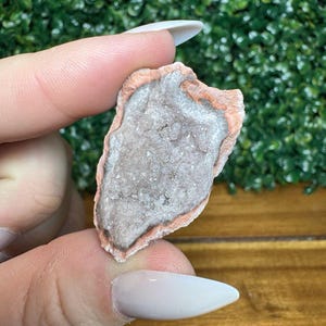 Puede incluir: Una peque&ntilde;a geoda de forma irregular con una capa exterior rosa claro y marr&oacute;n. El interior es de color gris claro con formaciones cristalinas visibles. La geoda se sostiene entre dos dedos sobre un fondo de follaje verde.
