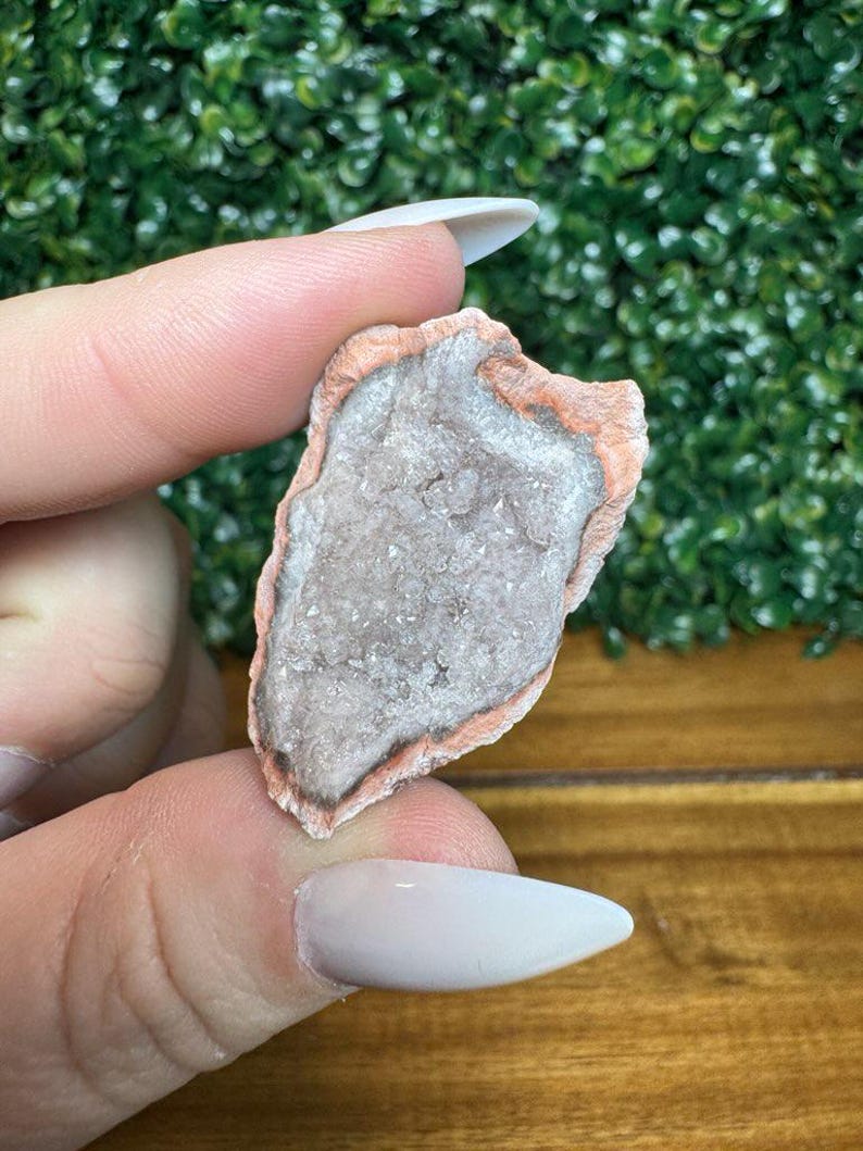Puede incluir: Una peque&ntilde;a geoda de forma irregular con una capa exterior rosa claro y marr&oacute;n. El interior es de color gris claro con formaciones cristalinas visibles. La geoda se sostiene entre dos dedos sobre un fondo de follaje verde.