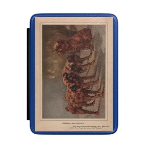 Griffon Bruxellois Kindle Case | Maud Earl Watercolor Rare Book Art Plate 1913 "My Dog Friends" Painting