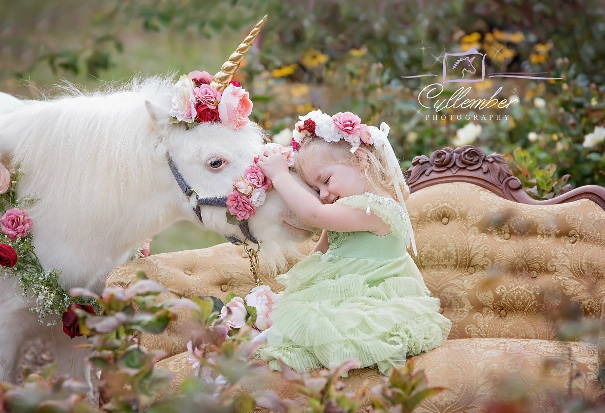Harmony burgundy mauve blush pink gold unicorn horn for horse or pony