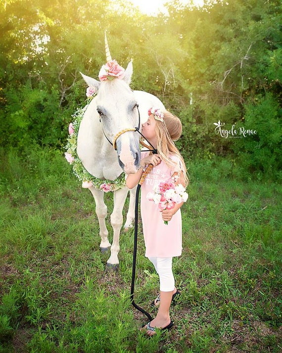 birbira ビルビラ馬ユニコーン ホース