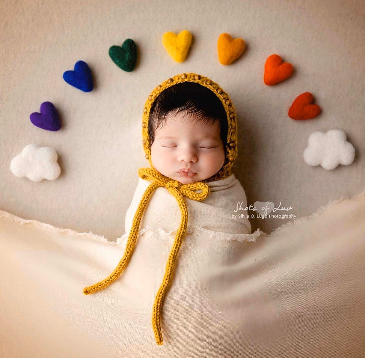 Rainbow Felted Wool Hearts With CLOUDS Newborn Photography Prop