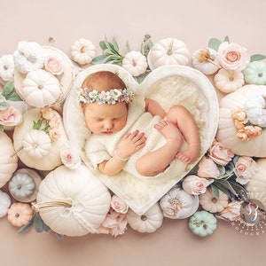 May include: A newborn baby lies in a heart-shaped bowl, encircled by white pumpkins, pastel roses, and foliage. The baby wears a floral crown and a white outfit. The pumpkins vary in size and colour, creating a soft, autumnal theme.