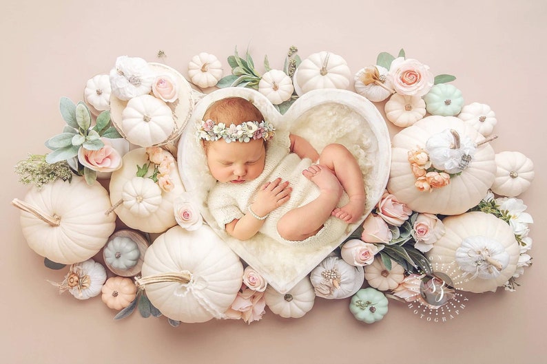 May include: A newborn baby lies in a heart-shaped bowl, encircled by white pumpkins, pastel roses, and foliage. The baby wears a floral crown and a white outfit. The pumpkins vary in size and colour, creating a soft, autumnal theme.