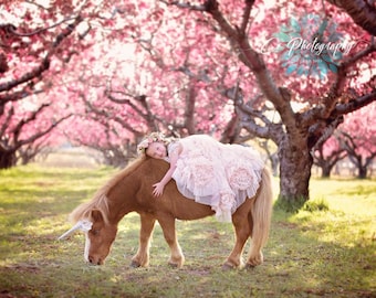 Celestia blush light pink flowers gold white unicorn horn and floral necklace garland for horse pony accessory photography prop