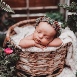 Serafina organic natural moss greenery succulent newborn flower crown headband tieback