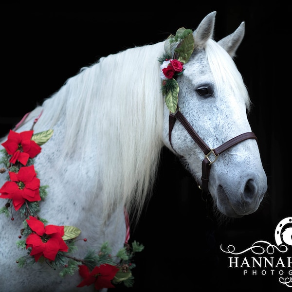 Christmas poinsettia pine holiday horse unicorn garland necklace flowers halter bridle clip