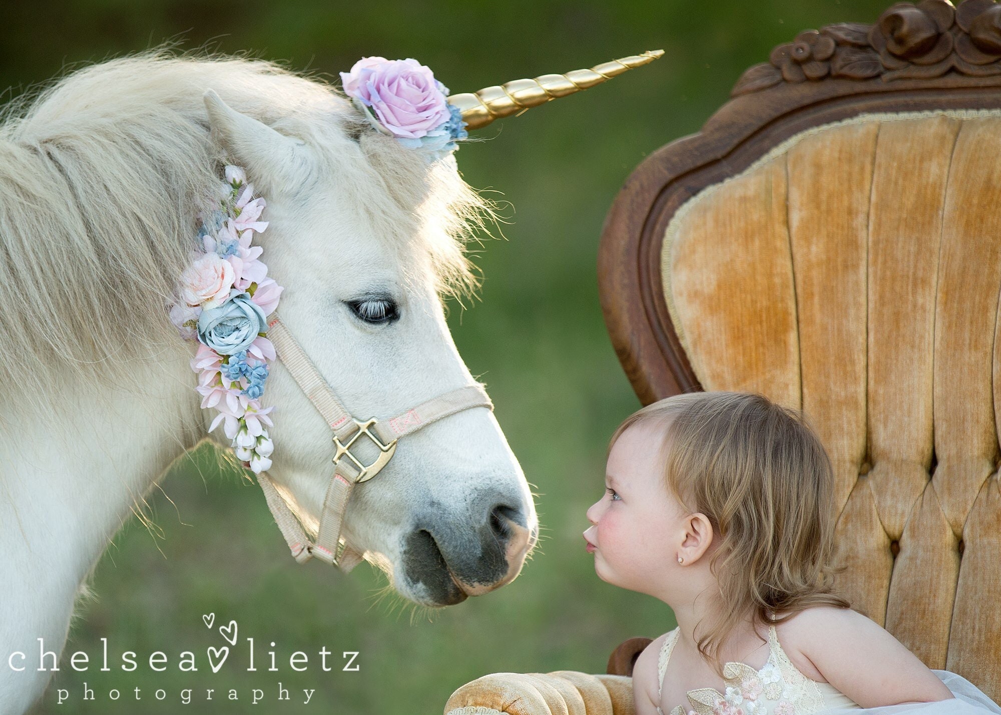 Enchanted Unicorn Horn for Horse or Pony - Etsy