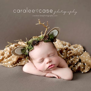 Neutral Ground  newborn fawn gender neutral boy  deer woodland antler crown halo floral headband prop