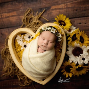 Daisy moss and daisey flower crown for newborn photography props headband tieback