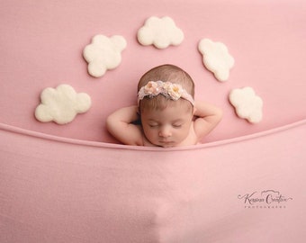 Set wool felt felted newborn photography prop clouds