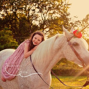 Unicorn horn for horse pony blush pink gold coral aqua flower clip image 3