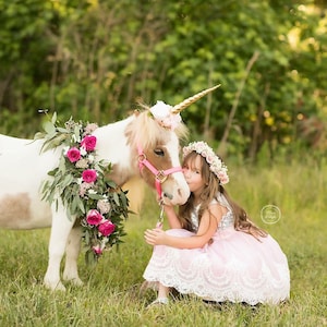 Accessorio per corno di unicorno Celestia, cavallo a dondolo, giostra, pony, fermaglio per fotografia