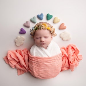 Cherish primary rainbow pastel rainbow flower crown rainbow baby boho greenery tieback newborn flower crown