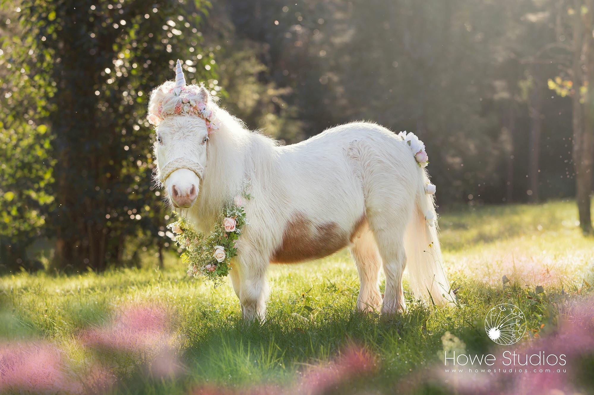 Wjsyshop Stampo Per Biscotti Unicorno Cavallo: Acciaio Inox Per Dolci, Feste E Decorazioni