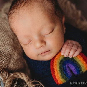 Needle felted rainbow baby newborn photography prop felt