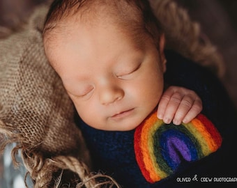 Needle felted rainbow baby newborn photography prop felt