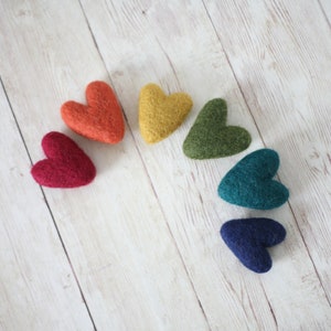 fall jewel tone deep rainbow felted wool hearts newborn photography prop felt heart set